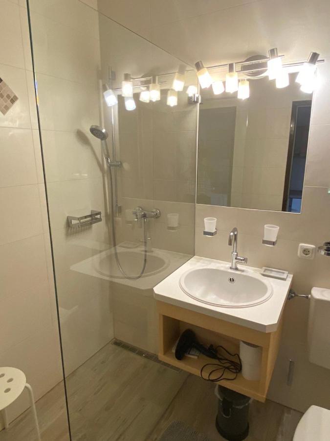 Apartment Sandra バート・ゴイーザーン エクステリア 写真