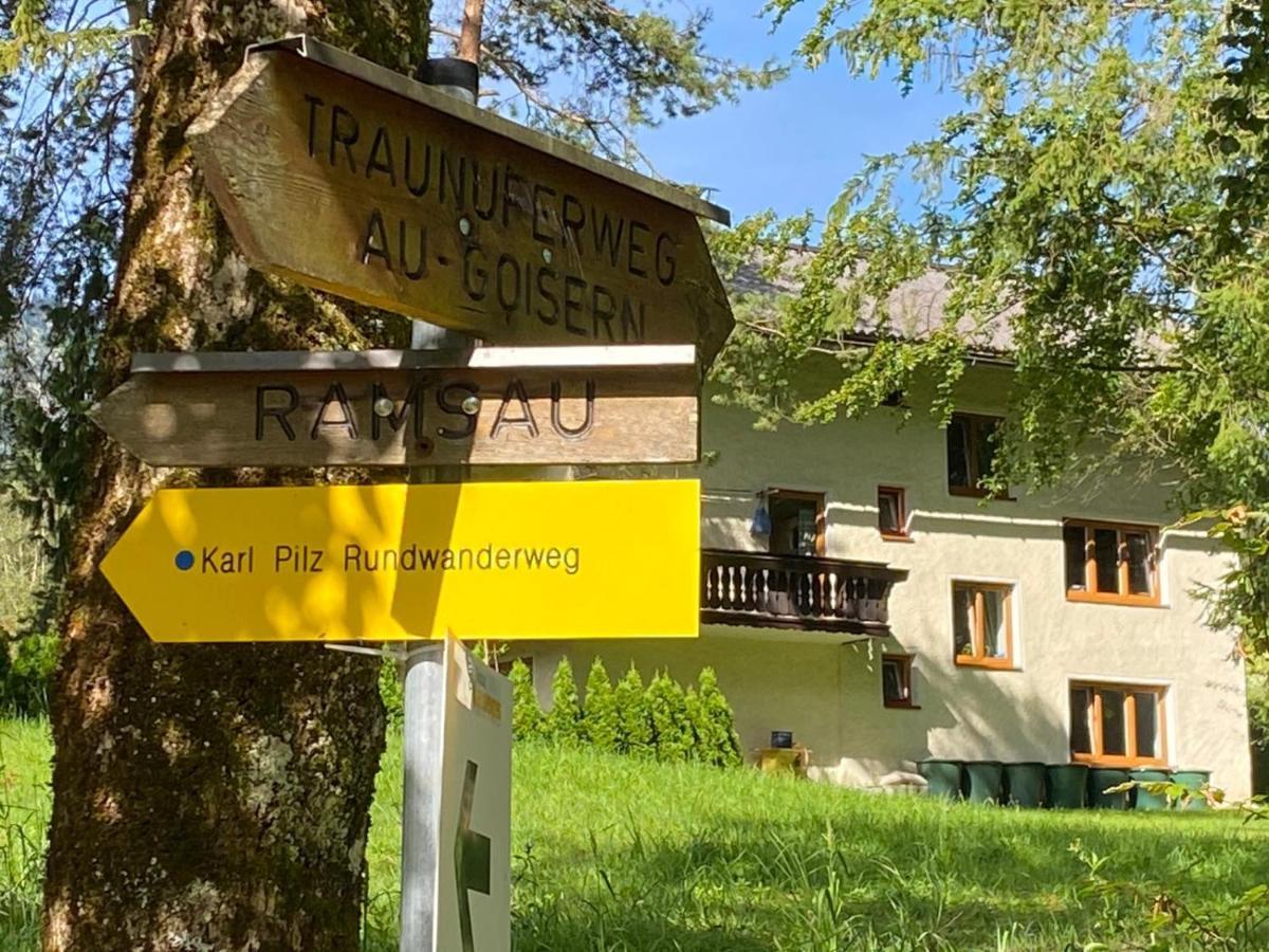 Apartment Sandra バート・ゴイーザーン エクステリア 写真