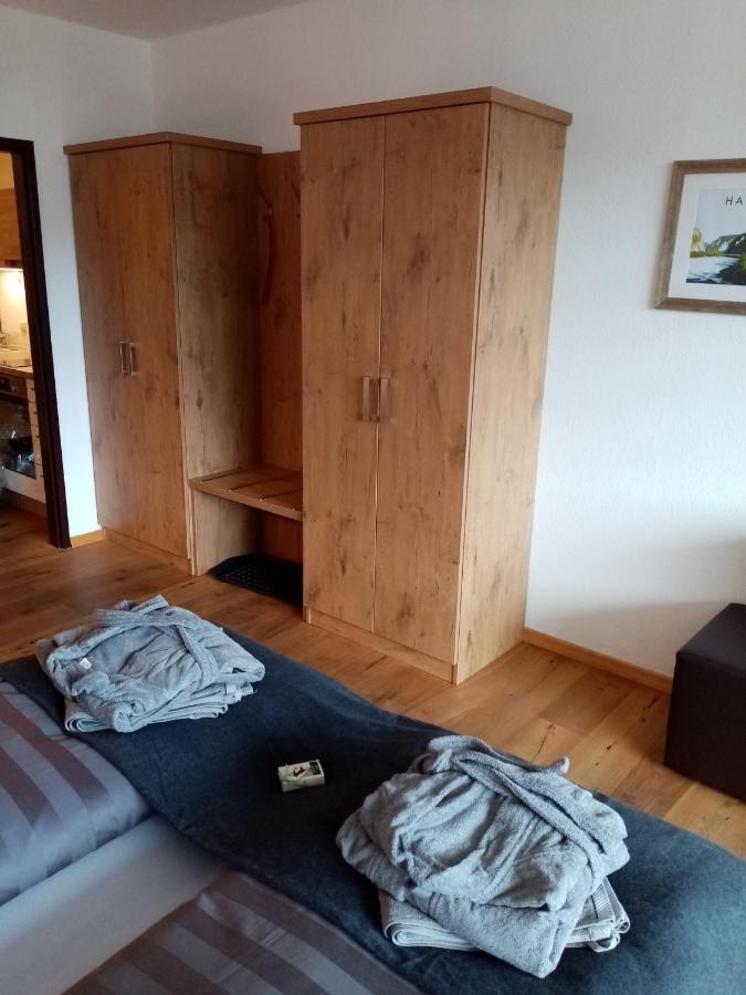 Apartment Sandra バート・ゴイーザーン エクステリア 写真