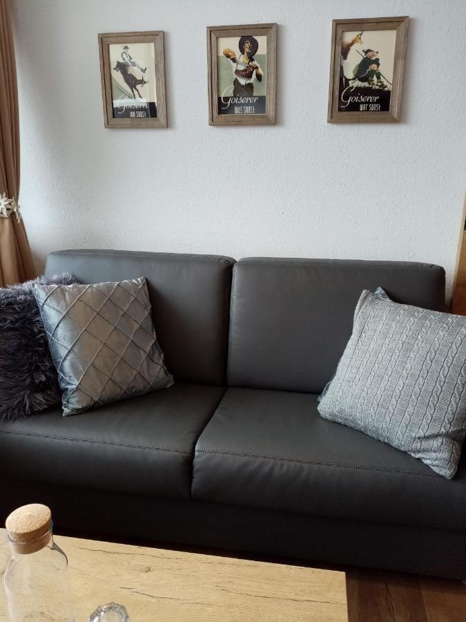 Apartment Sandra バート・ゴイーザーン エクステリア 写真